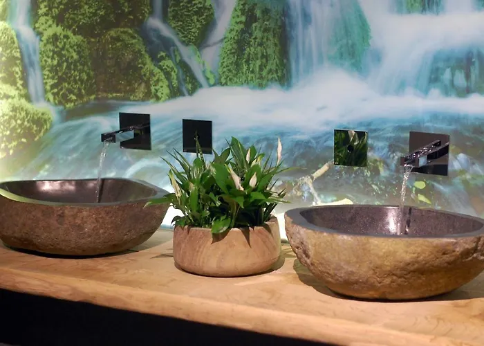 Wellness Eau De Roche Hotel 4*